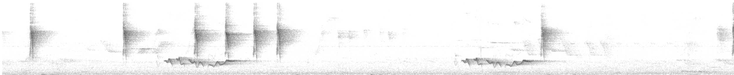 Желтошапочная корольковка (hypoleucus) - ML282068121