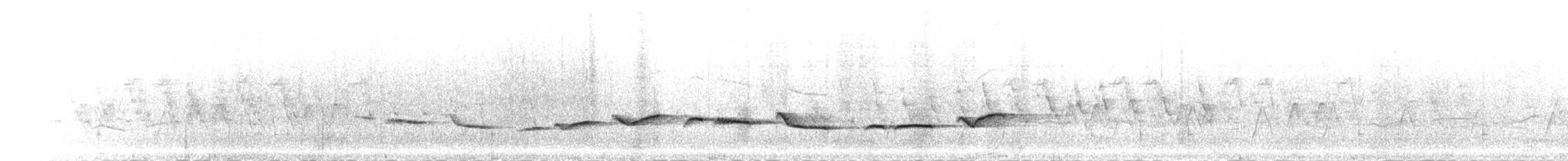 Papamoscas de Ceilán - ML282092