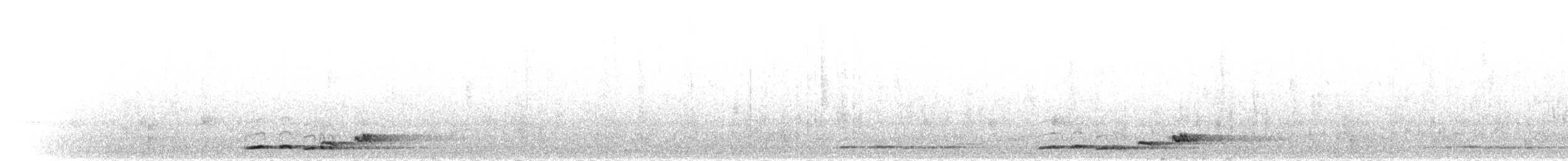 Schwarzschwanzsäbler - ML282103