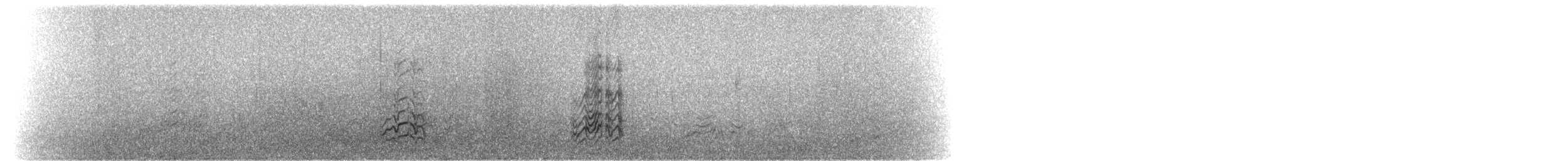Sterne fuligineuse - ML28211971