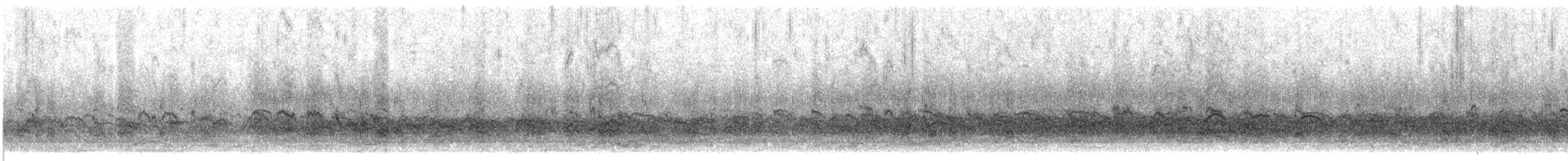 Piovanello pancianera - ML282137151