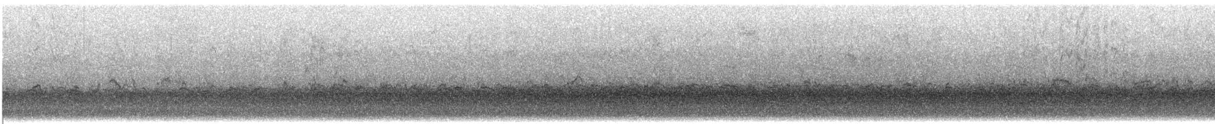 Piovanello pancianera - ML282137321