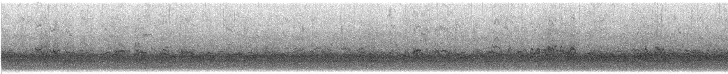 Piovanello pancianera - ML282137341