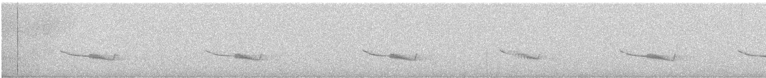 Breitspiegel-Nachtschwalbe - ML282148161