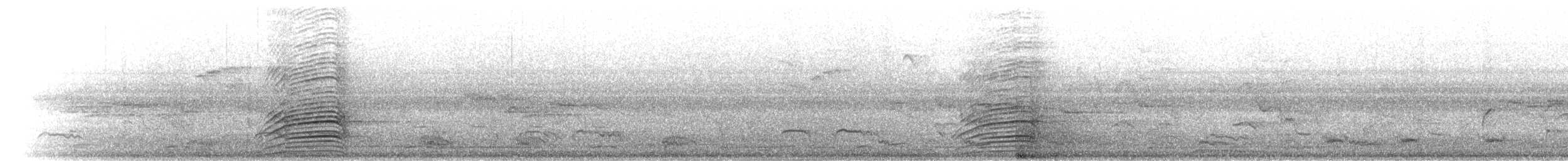singaleserhornfugl - ML282153