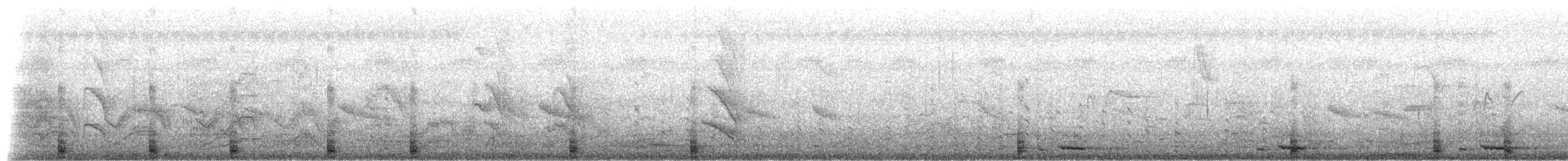 Râle à poitrine blanche - ML282167