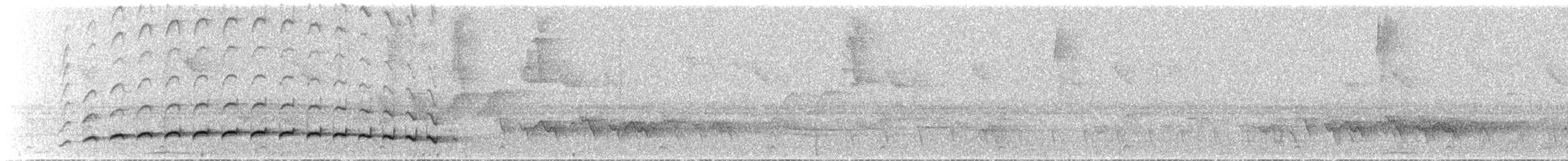 Fleckenbrust-Ameisenvogel - ML282181721