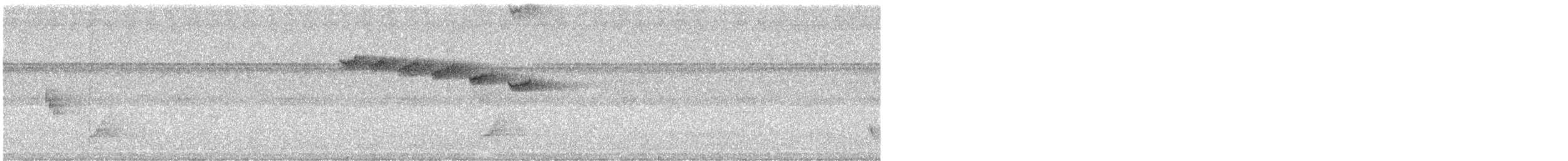 Восточный колибри-отшельник - ML282188661