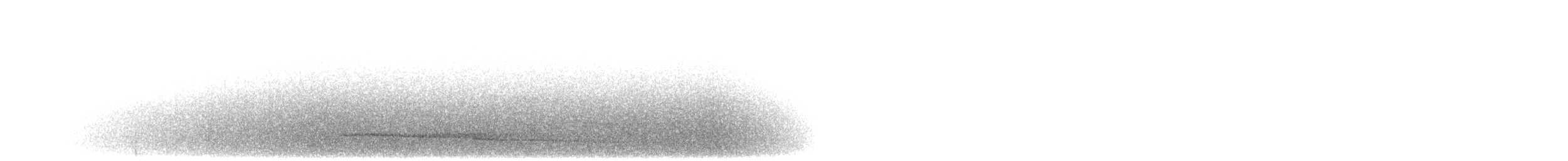 Сипуха темно-бура (підвид tenebricosa/arfaki) - ML282203831