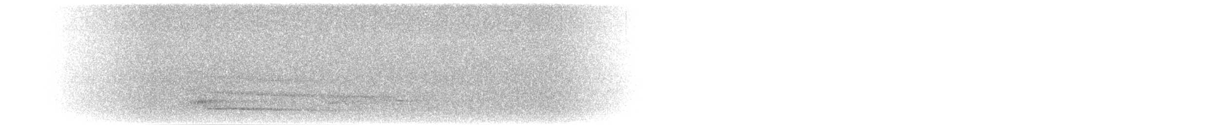 Сипуха темно-бура (підвид tenebricosa/arfaki) - ML282203841