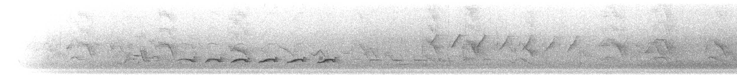 スリランカサンショウクイ - ML282210