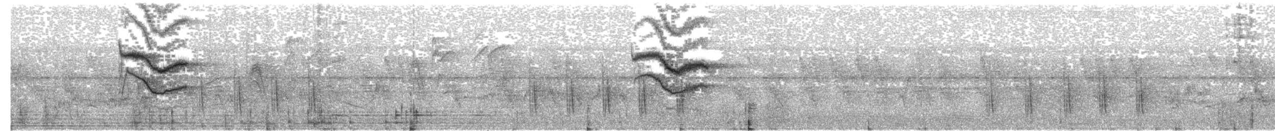 クロヒタキ - ML282225491