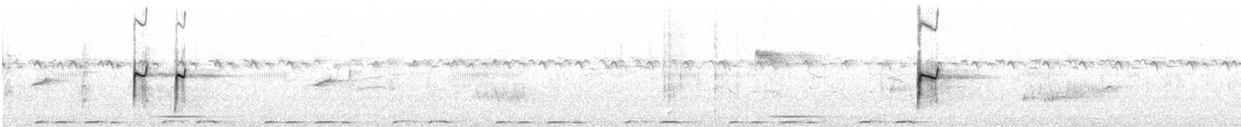 Chorlitejo Tricollar - ML28225911