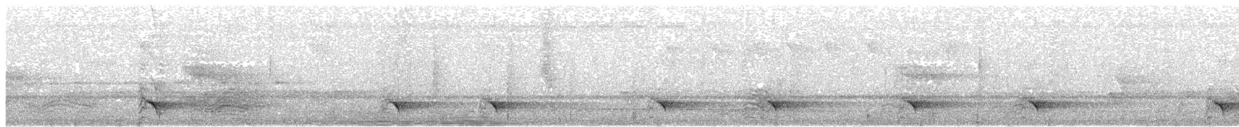 Kadife Sırtlı Drongo (atactus) - ML282260371