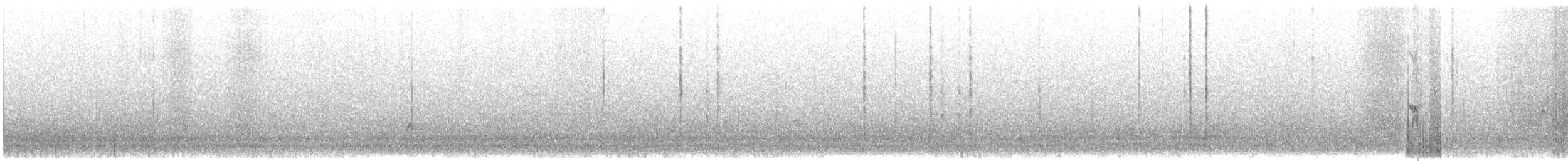 kortnebbekkasinsnipe/langnebbekkasinsnipe - ML282262501