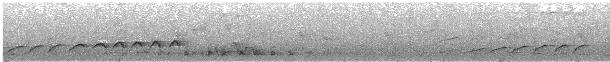 Western Bluebill - ML282262811