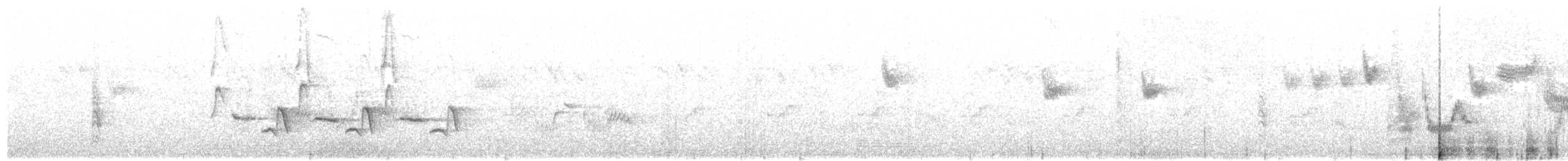 White-shouldered Black-Tit - ML282272341