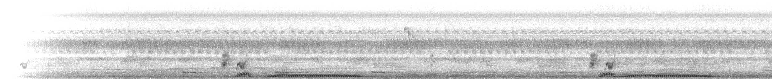 bronsekeiserdue - ML282285