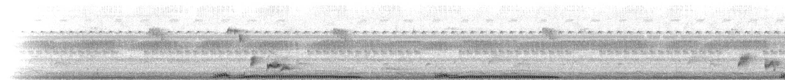 Carpophage de Pauline - ML282286