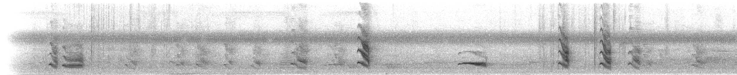 Turuncu Gagalı Yedikardeş - ML282328