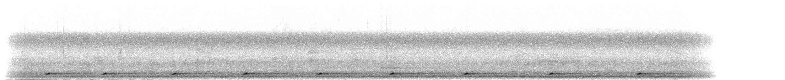 Ceylonbartvogel - ML282329