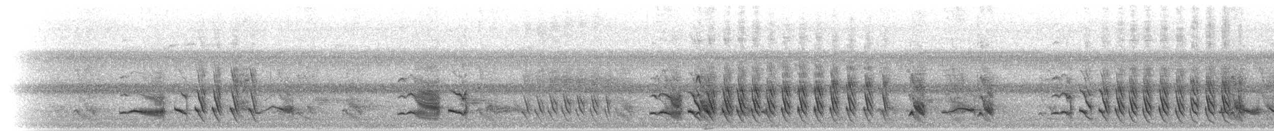 Turuncu Gagalı Yedikardeş - ML282368