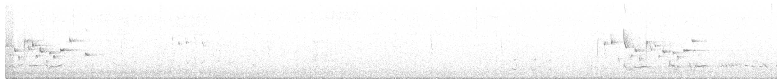 Медолюб вікторійський - ML282391381