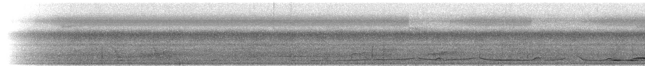 holub hnědokřídlý - ML282398