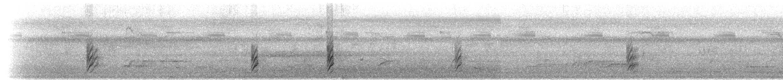 Ластівка цейлонська - ML282407