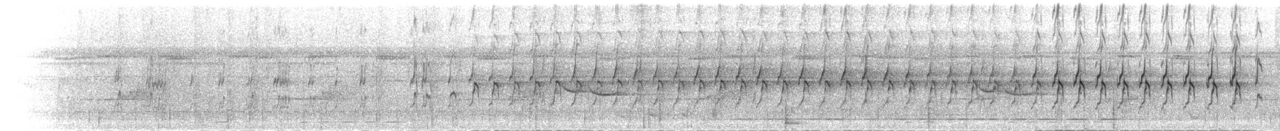 Kurzschwanzspecht - ML282424