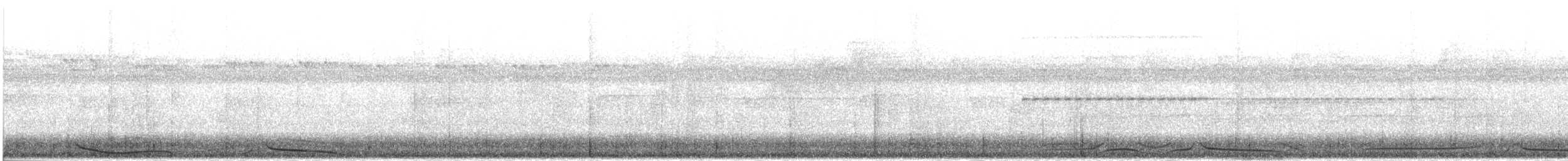 Papageischnabel-Grüntaube - ML282428