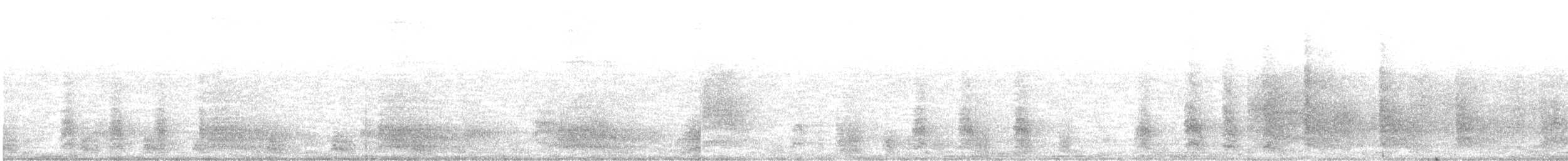Carraca Abisinia - ML282430411