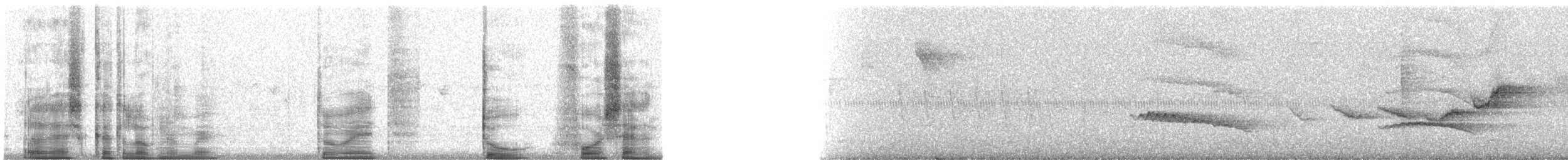 Кокоа плямистий [група aequatorialis] - ML28247