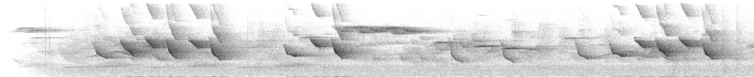 Silbador de Borneo - ML282486