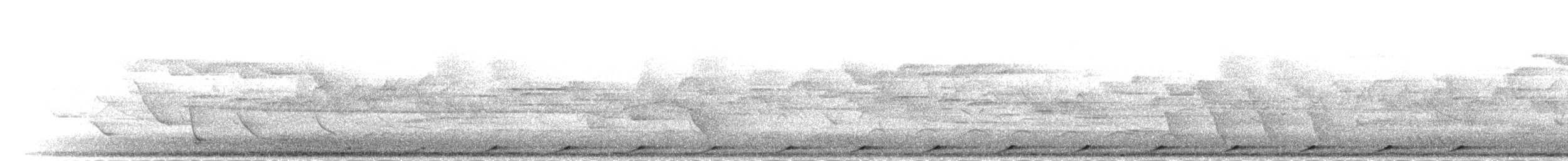Малая кукушковая горлица - ML282511