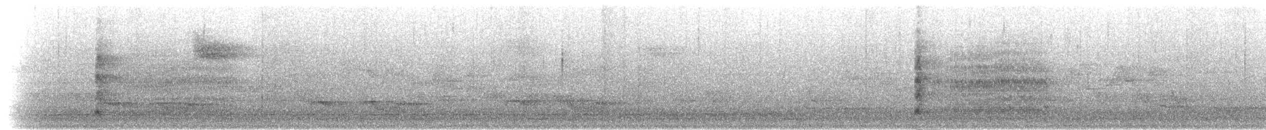Черногорлый скрытоклюв - ML282524