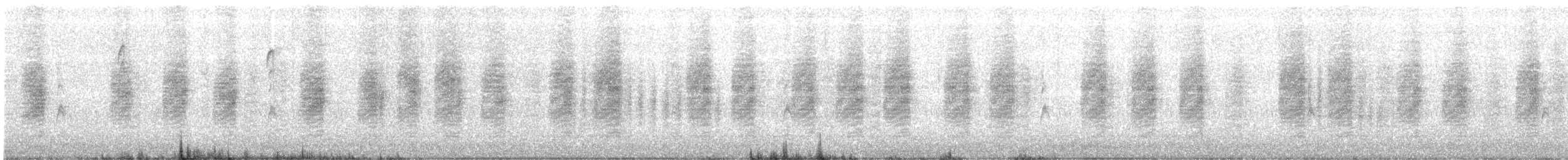 Northern House Wren - ML282524931