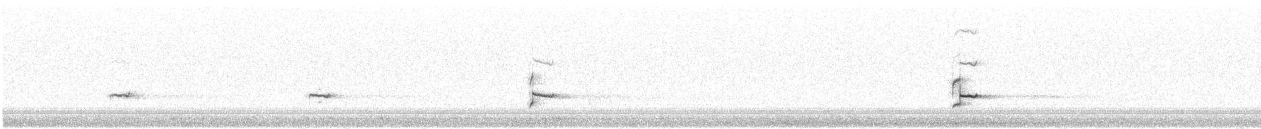 European Golden-Plover - ML282530331