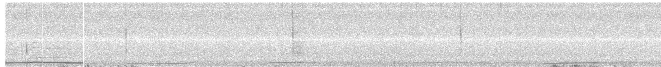 Madeirasturmvogel - ML282533191