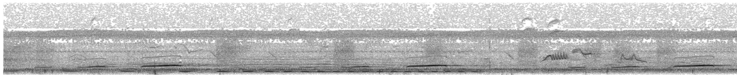 Black Cuckoo - ML282561151