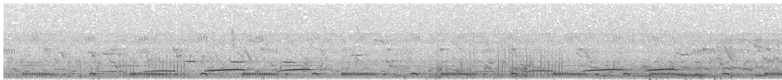 Black Cuckoo - ML282562411