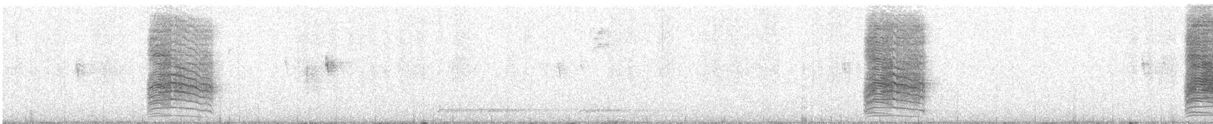 drozdec černohlavý - ML282564291