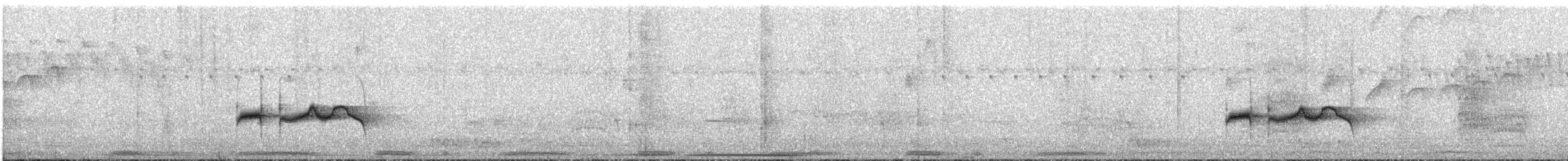 Strichelrücken-Ameisenfänger - ML282569911