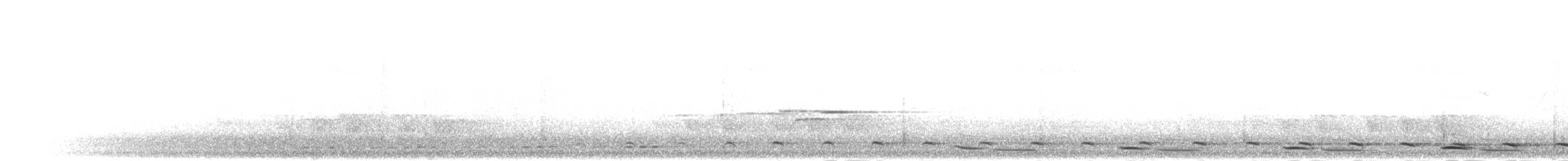 Torquéole de Bornéo - ML282570