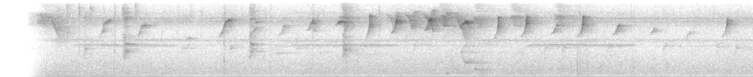 Серогорлый колибри-отшельник - ML282595861