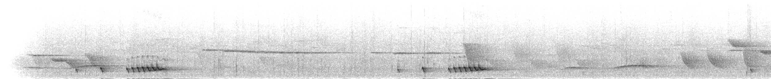 Prachtbartvogel - ML282604