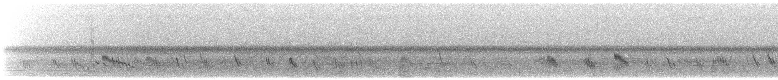 Büyük Mor Kırlangıç (subis/arboricola) - ML282613331