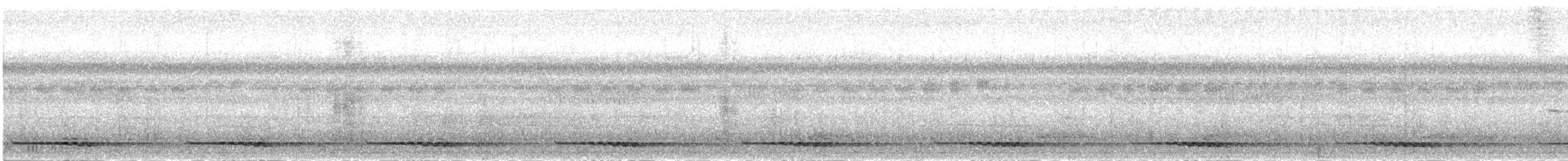 Sabah Partridge - ML282615