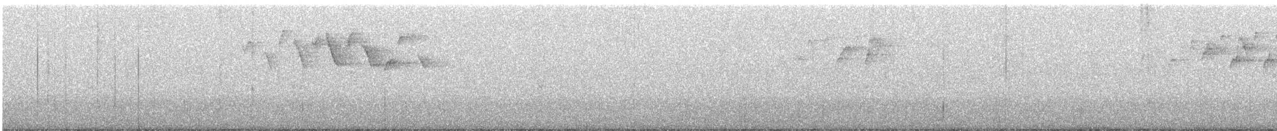 lesňáček černobílý - ML282682431