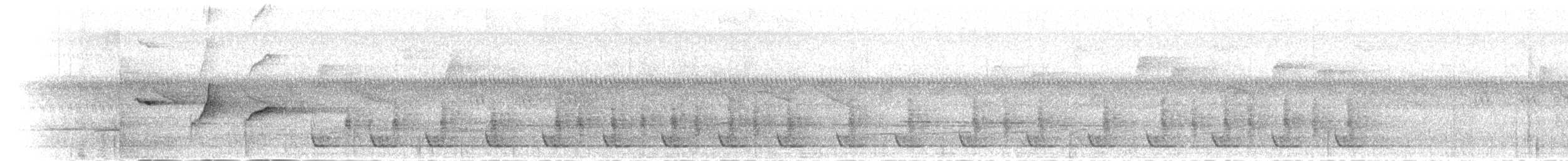 Ошейниковая веерохвостка - ML282696